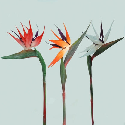 3pcs Artificial Bird Of Paradise Flowers, Rubber Strelitzia 24.5'' Long Stem Flower Suitable For DIY Home Party Theme Decor