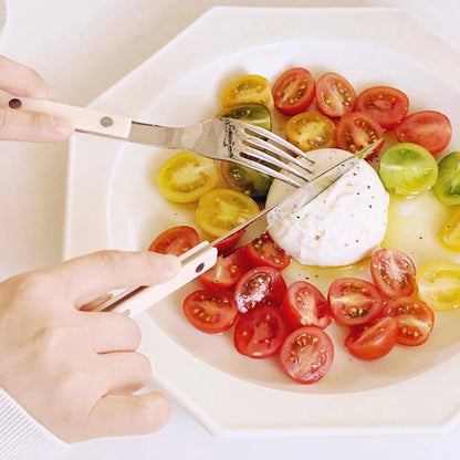 Fashionable Design Top Mirror Polishing Cutlery Sets of Stainless Steel 18/8(304) ABS Handle With Rivets Silverware Set For Kitchen and everday  serving
