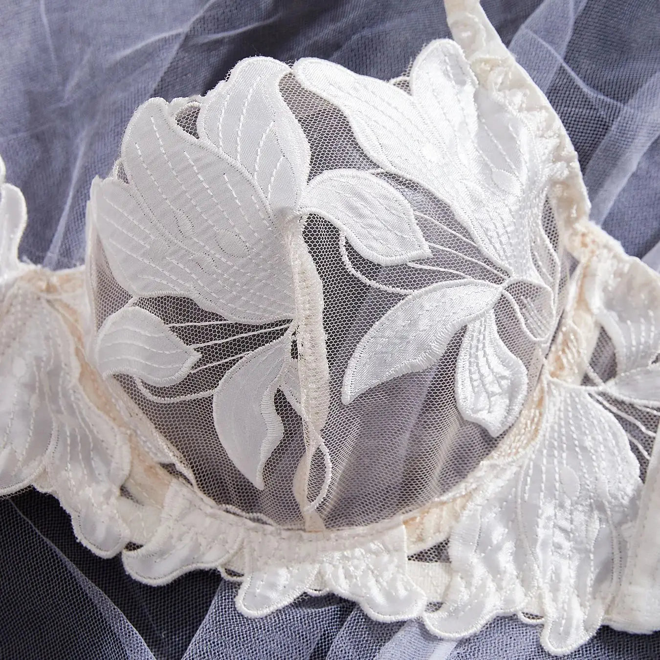 Fairy Lingerie  with Floral Valentine Charm.  Brief Panty Underwear Sexy Nighty Fancy Underwear Brief Set for Lady See Through Bra