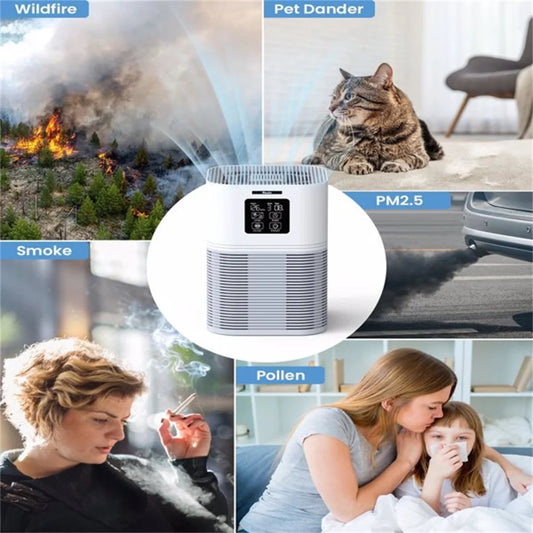 2 in 1 Air Purifier for Home Allergies, Odor Elimination and Aromatherapy diffusion