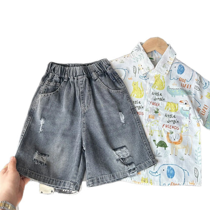 Summer Boys Shorts, Cartoon Embroidery, Boys Denim Shorts Water Wash, 2-10Yrs Boys Horse Pocket Jeans