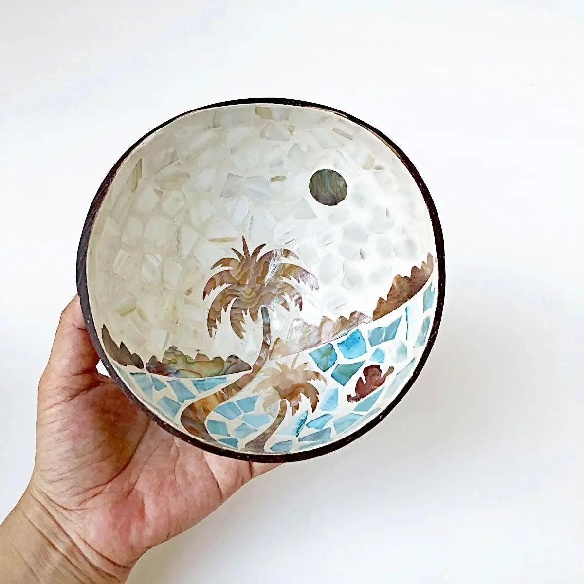Handmade Alien Coconut Shell Bowl, Inlaid Shells, Wood Bowl,  Storage, Salad Bowl,  Key Storage,  Tray, Home Decoration, Hand Wash!!!